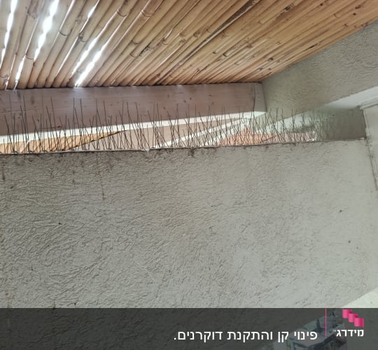 דוקרנים להרחקת יונים על קיר מתחת לתקרה